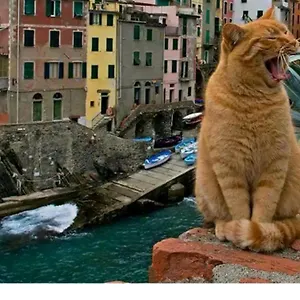 Stella Di Rio 5 Terre , Riomaggiore Italie